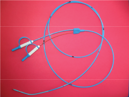 electrode_semifloating_catheter no balloon catheter